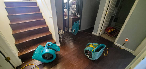 Best Sewage cleanup and water damage restoration  in Canadian, TX