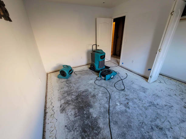 Best Local water damage restoration  in Canadian, TX