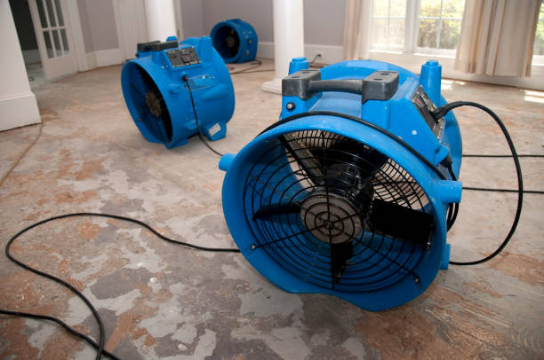 Best Local water damage restoration  in Canadian, TX